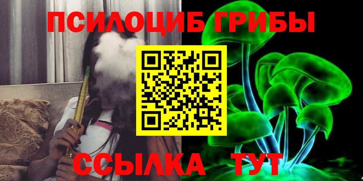 где можно купить   Псилоцибиновые грибы Psilocybine cubensis  Вход с VPN  Черняховск 