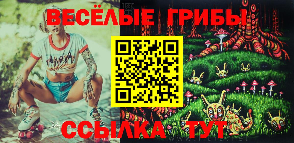 Псилоцибиновые грибы мицелий Черняховск